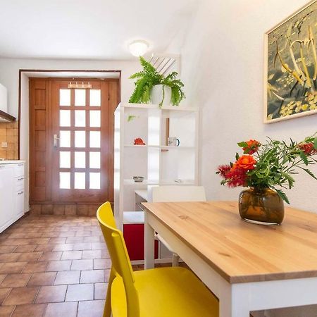 Studio Tamburini City Center Apartment Ровин Екстериор снимка